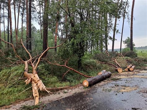 Ewakuowano ponad 50 leśnych obozów harcerskich w całej Polsce Powód