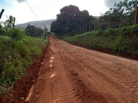 Programa Estrada Boa Continua A Recuperar Estradas Da Zona Rural De