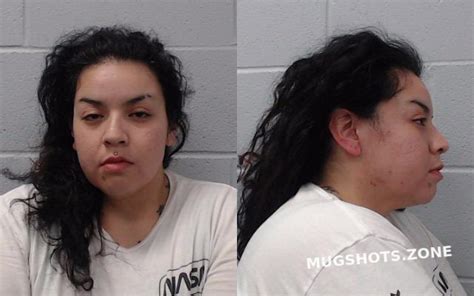 Herrera Sheila Marie 09152021 Hays County Mugshots Zone