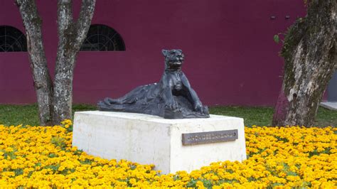 Curitiba Inaugura Maior Jardim De Esculturas Do Brasil