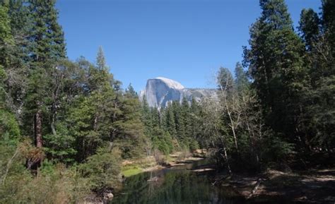 Bildet Natur Myr Sump Villmark Elv Dal Yosemite Dam Dyreliv