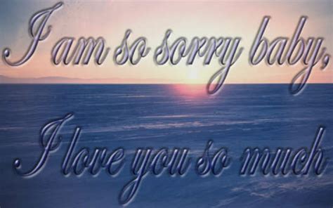 Im Sorry Baby Quotes. QuotesGram