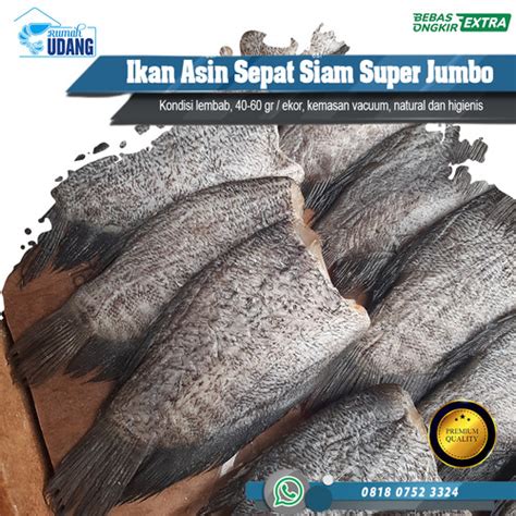 Jual Ikan Asin Sepat Siam Super Jumbo Ikan Asin Premium 100gr