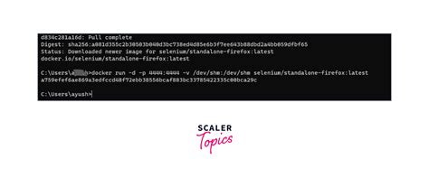 How To Run Selenium Tests In Docker Scaler Topics