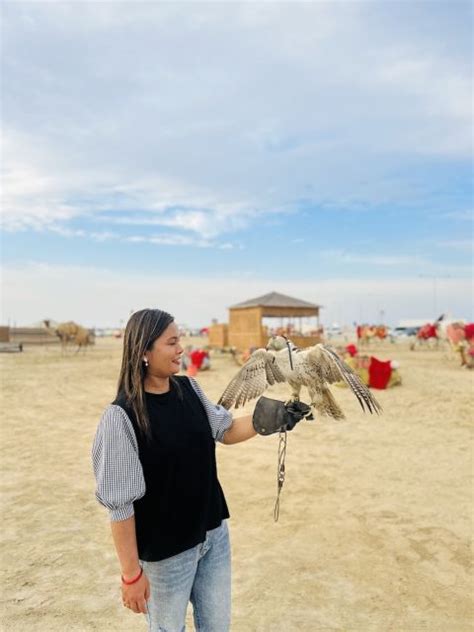 Safari nel deserto di Doha e visita della città Tour privato di un