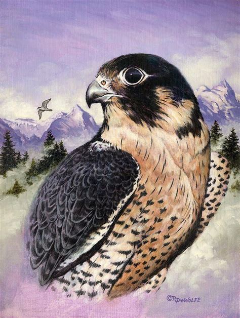 Peregrine Falcon Painting Peregrine Falcon Fine Art Print Falcon Art