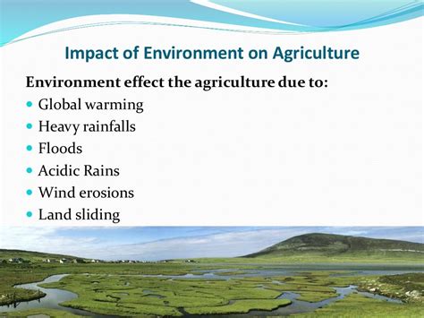 Impacts Of Agriculture Aquaculture On Environment