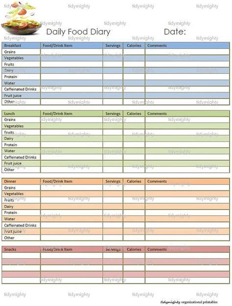 Daily Food Diary Tracker Printable Pdf By Tidymighty On Etsy 300