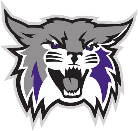 Weber State University Colors Team Logo