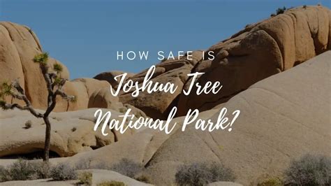 Is Joshua Tree National Park Safe 2023 Hikers Daily