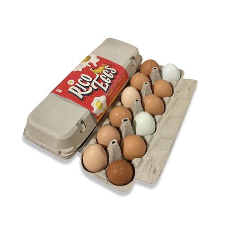 Free Range cage free organic eggs – Rico Farm