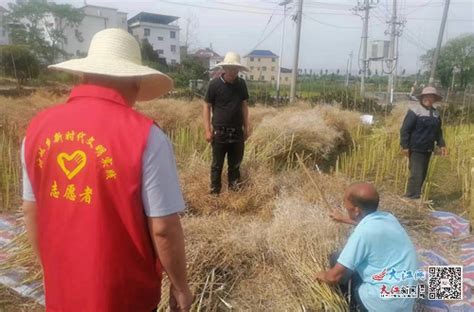 湖口县付垅乡开展禁止秸秆焚烧宣传活动（组图） 九江频道