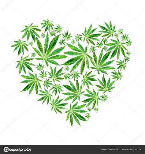 Heart Of Bright Green Cannabis Sativa Leaves — Stock Photo © K