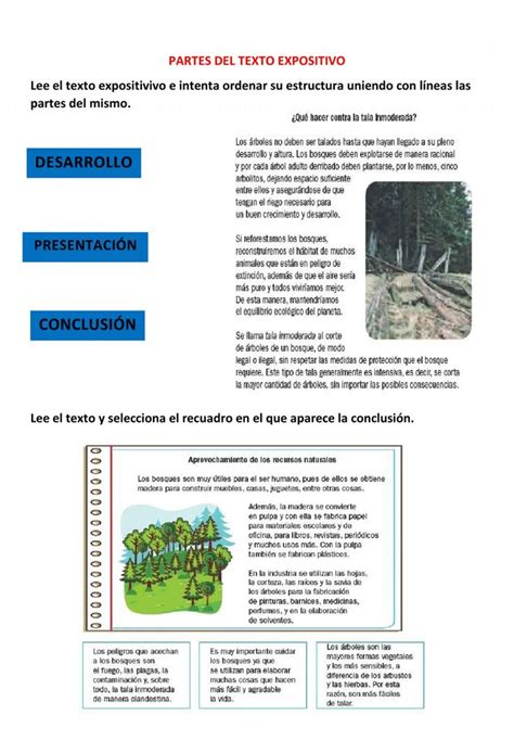 Ficha Online De Textos Expositivos Para Quinto De Primaria Puedes Hacer Los Ejercicios Online O