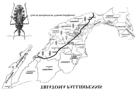 Distribución geográ fica de Triatoma pallidipennis Download