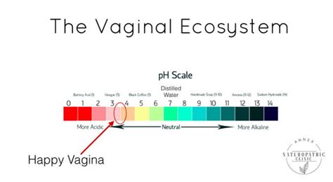 What You Didn’t Know About Vaginal Health Annex Naturopathic Clinic Naturopathic Doctors In