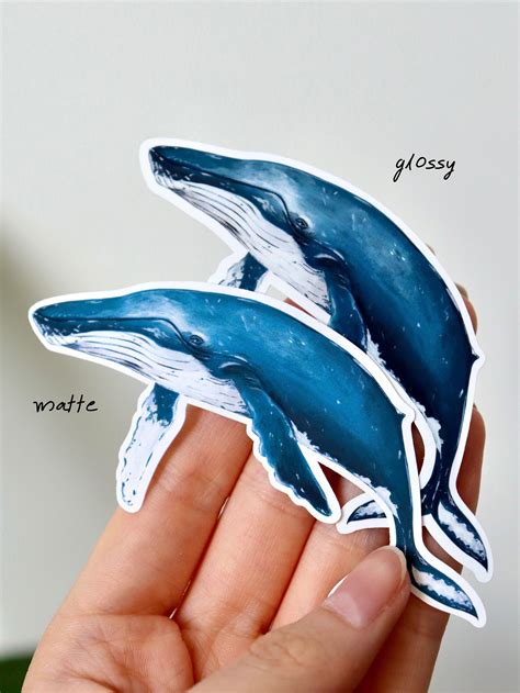 Humpback Whale Vinyl Sticker I Whale Sticker Glossy Vinyl Etsy