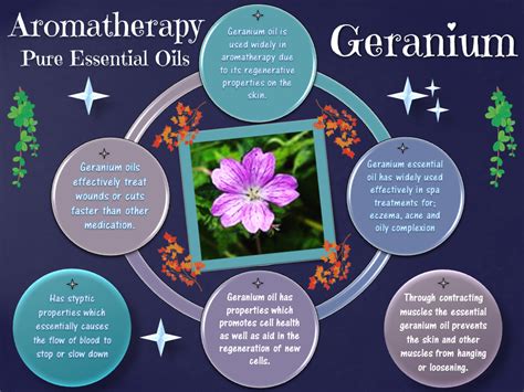 Get To Know The Benefits Of Geranium Oil Geranium Essential Oil