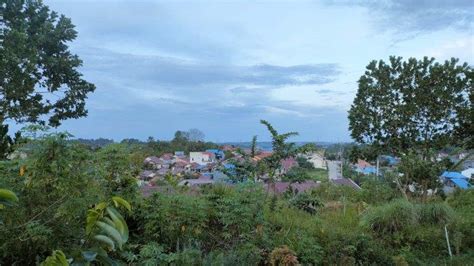 Prakiraan Cuaca Balikpapan Senin Maret Bakal Didominasi Cerah