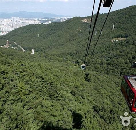 THE 15 BEST Things to Do in Daegu - 2023 (with Photos) - Tripadvisor