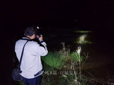 2022国际生物多样性日 夜寻野生扬子鳄，走起！澎湃号·政务澎湃新闻 The Paper