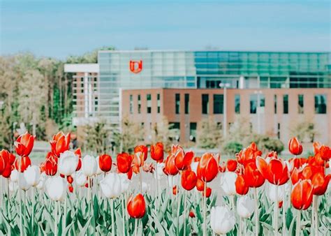 Arbor Financial Credit Union on LinkedIn: #wearearbor #thisisarbor # ...