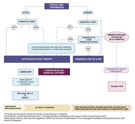 Jcm Free Full Text Portal Vein Thrombosis State Of The Art Review