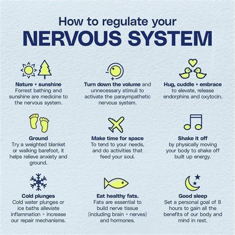 How To Regulate Nervous System Mental Health Help Mental And