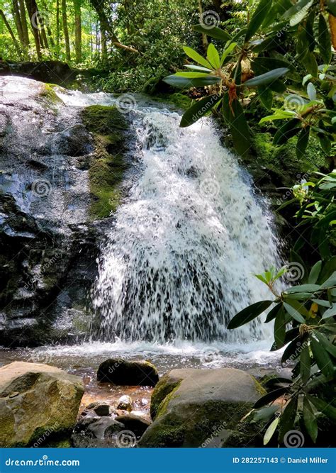 Meigs Creek Cascades Great Smoky Mountains Nature Waterfall Scenic Art