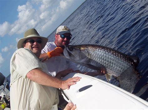 Boca Grande Tarpon Fishing Charters Tarpon Fishing Guides Florida