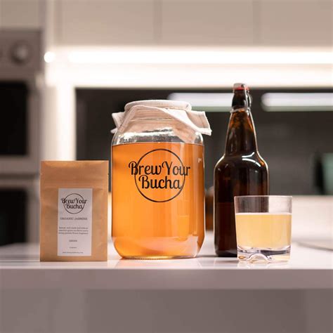 Brew Your Bucha Kombucha Scoby Con L Quido De Iniciaci N Kit De Inicio