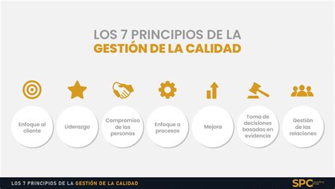 Los Principios De La Gesti N De La Calidad Spc Consulting Group