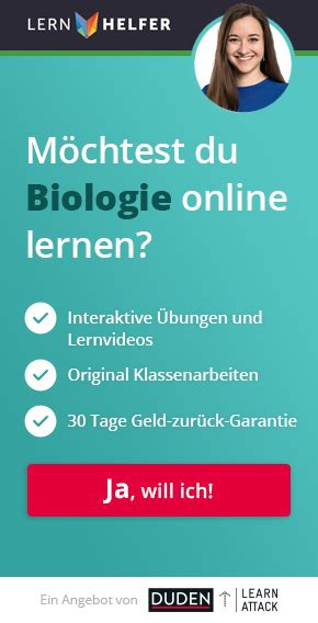 Fossilisation in Biologie | Schülerlexikon | Lernhelfer