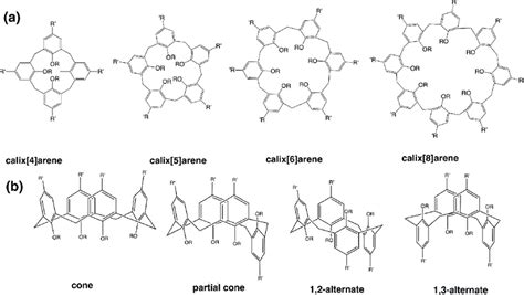 A The Structures Of Calix N Arenes And B The Conformations Of