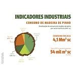 Consumo De Madeira De Pinho Cresce Em Portugal Em Agriterra