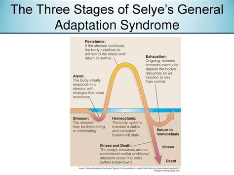 Stages Of General Adaptation Syndrome