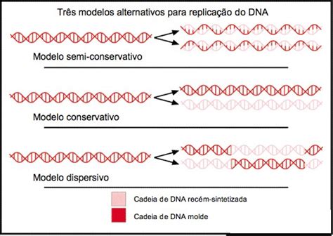 Replicação Revista de Ciência Elementar