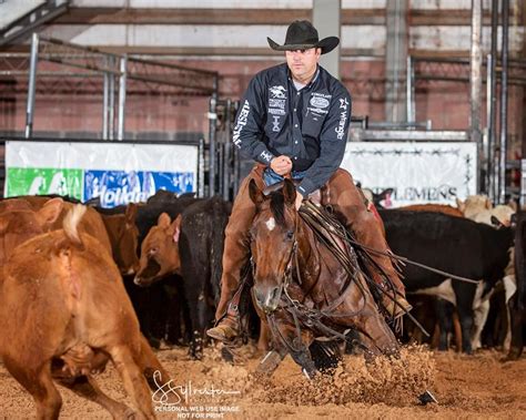 wr  cats smart sired wagonhound land livestock