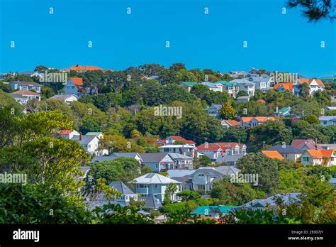 Residential houses in Wellington, New Zealand Stock Photo - Alamy