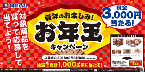 今年も現金3 000円が抽選で1 000名様に当たる「お年玉キャンペーン」を実施｜伊藤ハム米久hdのプレスリリース