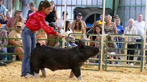 Grace Baker Wins Grand Champion Market Swine At Fair Steamboat Radio