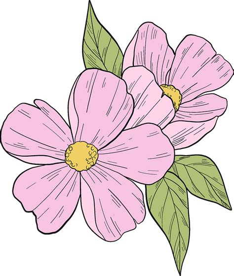 Flower Clipart Vector Art Icons And Graphics For Free Download Clip Art Library