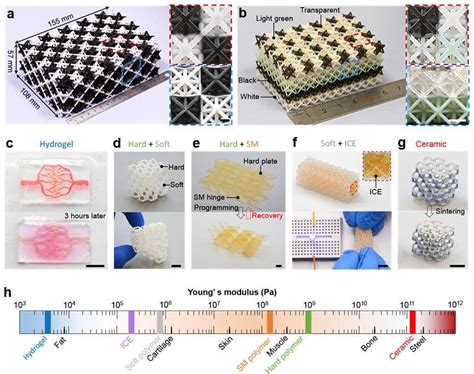 南方科技大学葛锜副教授《自然·通讯》：离心式dlp多材料3d打印 知乎