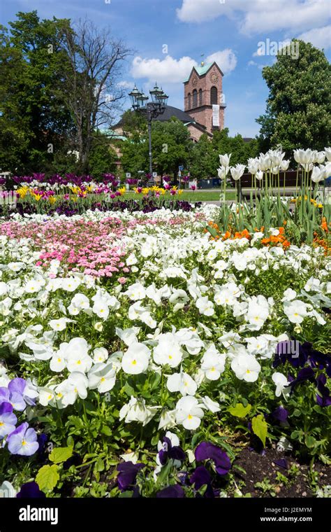 Botanical garden in karlsruhe palace gardens hi-res stock photography and images - Alamy