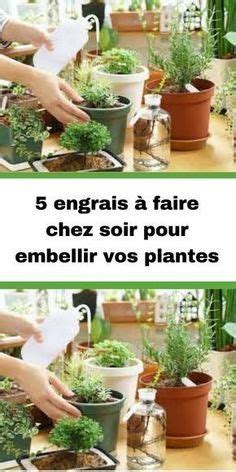 Hands Are Watering Plants In Pots On A Table With Text That Reads 5