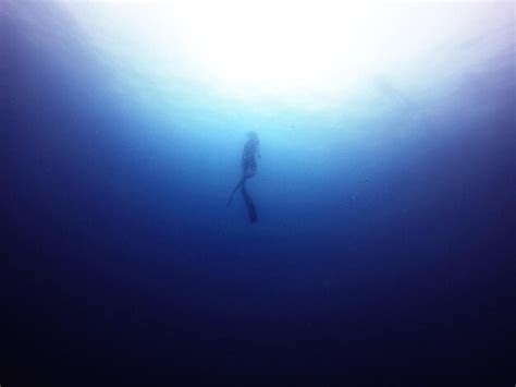 Silueta De Un Hombre Nadando En El Mar Foto Premium