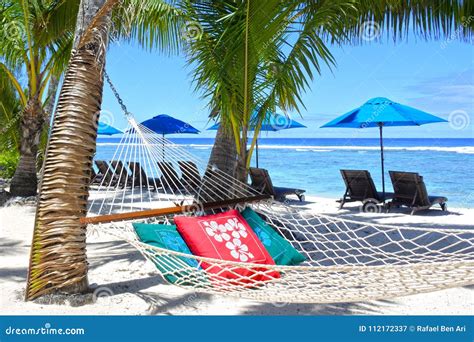 Empty Hammock Between Palm Trees On Tropical Beach Stock Image Image