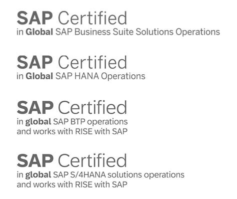 Rise With Sap Syntax Europe