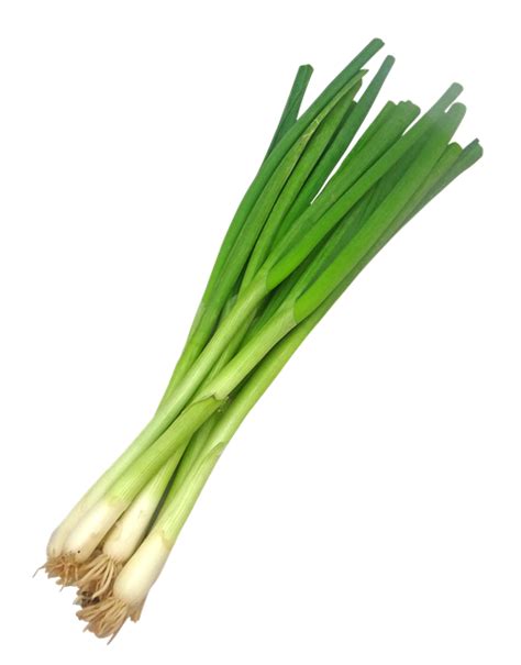 Free photo: Scallion, Scallions, Ramp, Ramps - Free Image on Pixabay ...