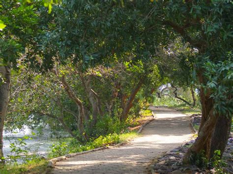 Birding Places Near Chennai Roaming Owls